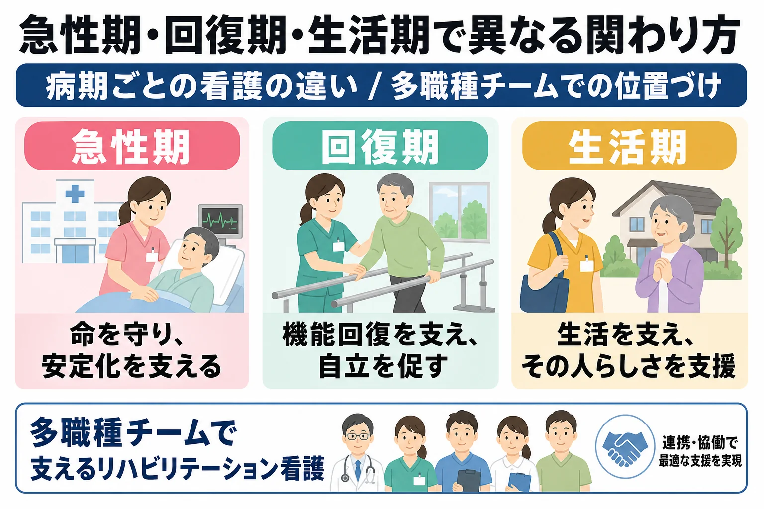 急性期・回復期・生活期で異なる関わり方: 病期ごとの看護の違い / 多職種チームでの位置づけ